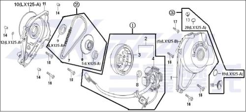 Artikelbild des Artikels “POLRAD E3 125CC LONCIN 1P52FMI ABB. 1.3 “